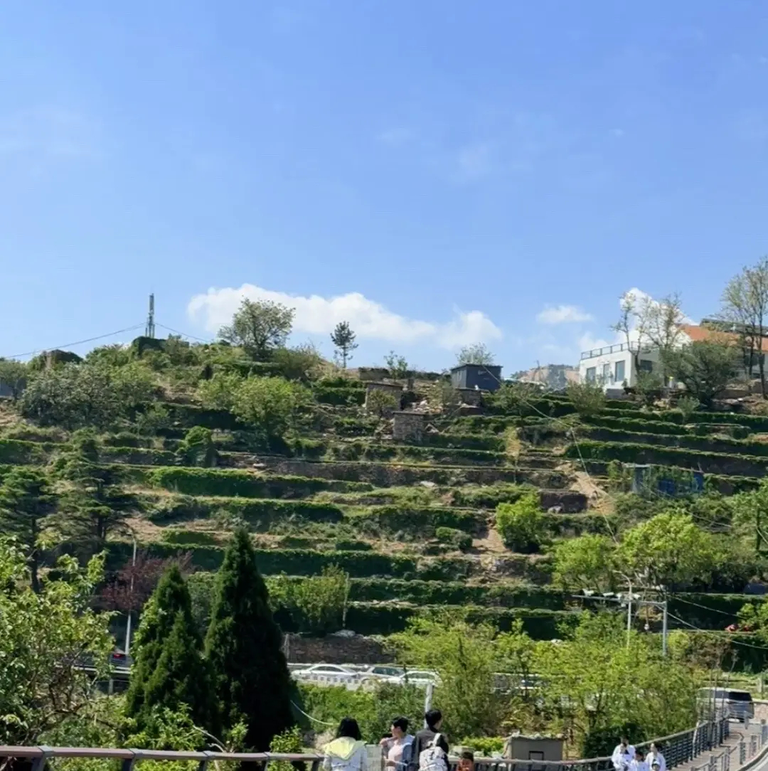 曼联前锋拉什福德接受巴塞罗那处罚，弗利克沉默应对纪律争议