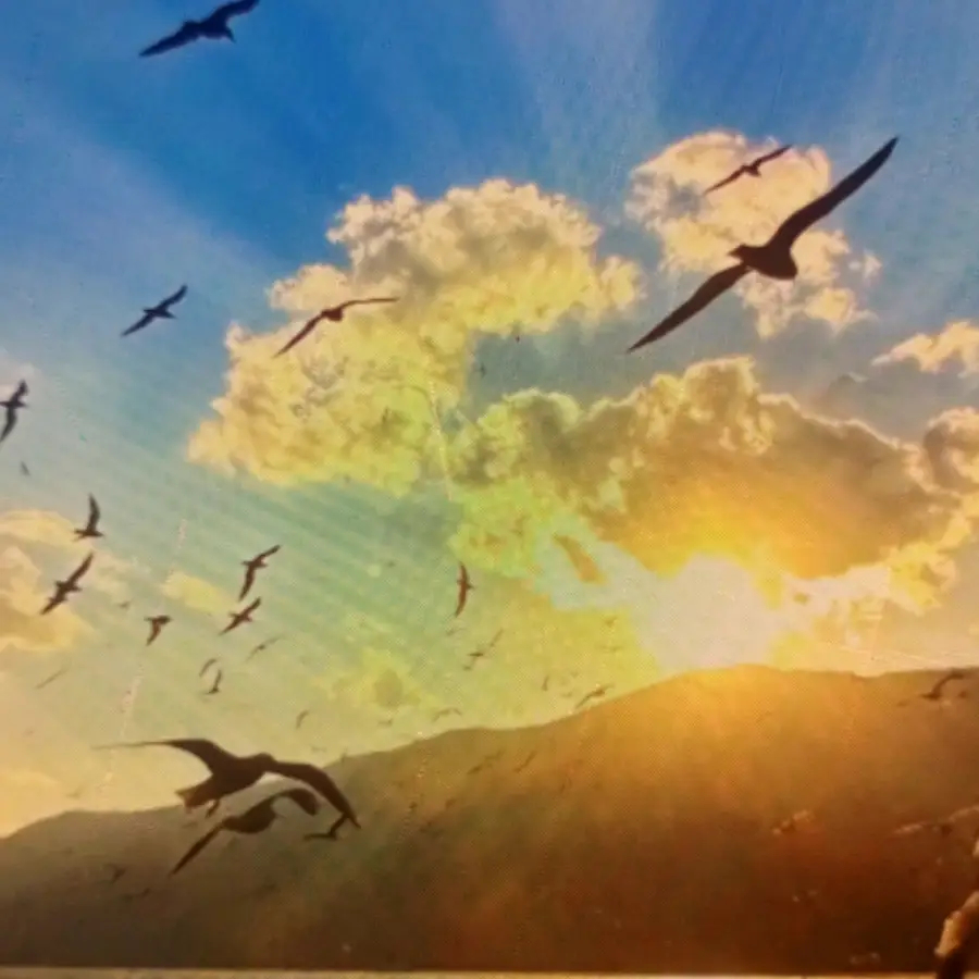 萨拉比亚队对奥维耶多队：关键对决关乎赛季生死战